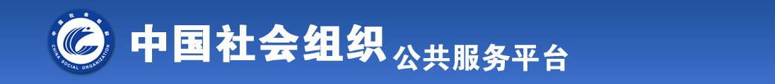 日我逼逼全国社会组织信息查询